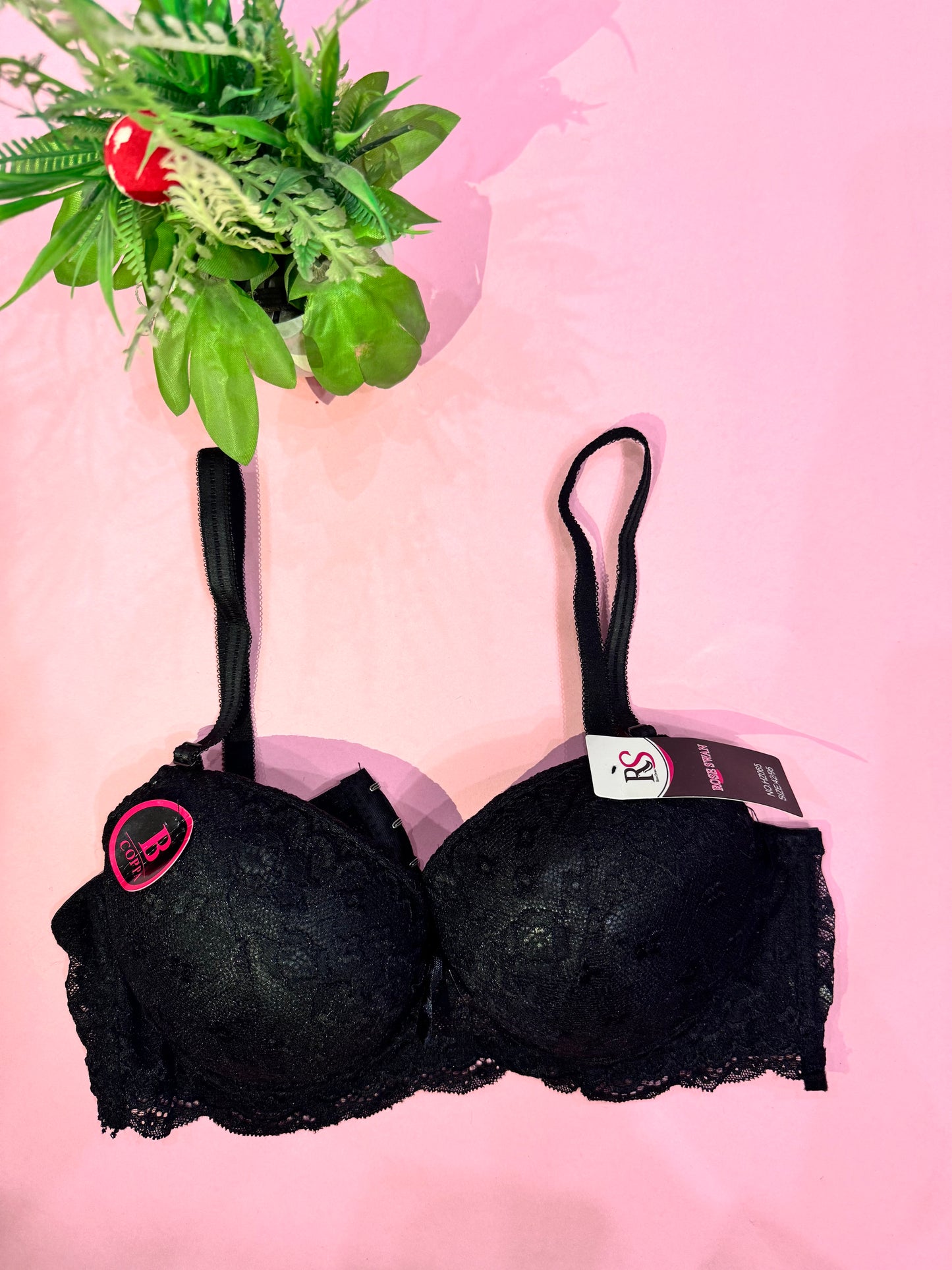 Elegant Lace Underwire Push-Up Bra