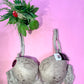 Elegant Lace Underwire Push-Up Bra