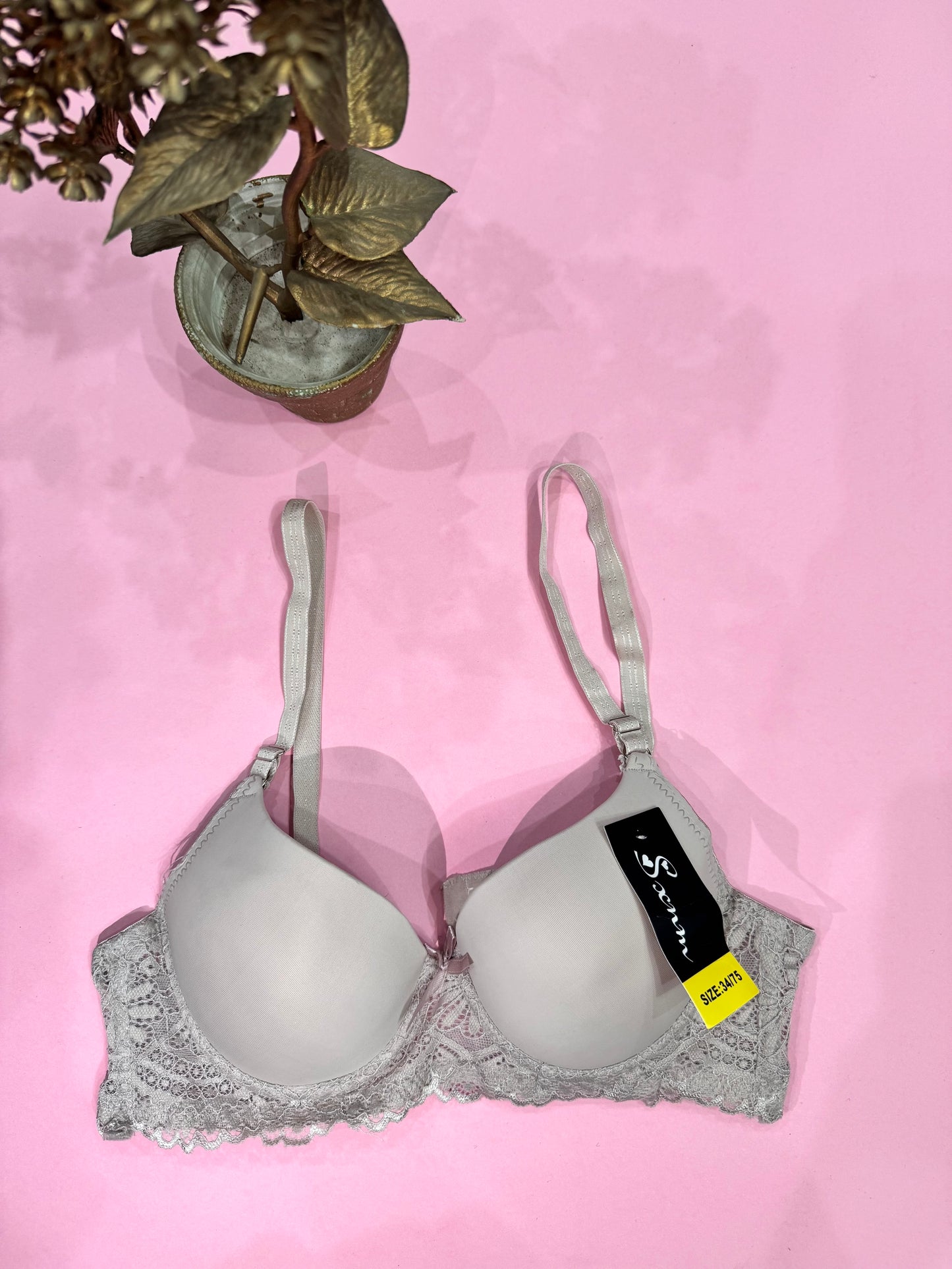 Elegant Lace Push-Up Bra