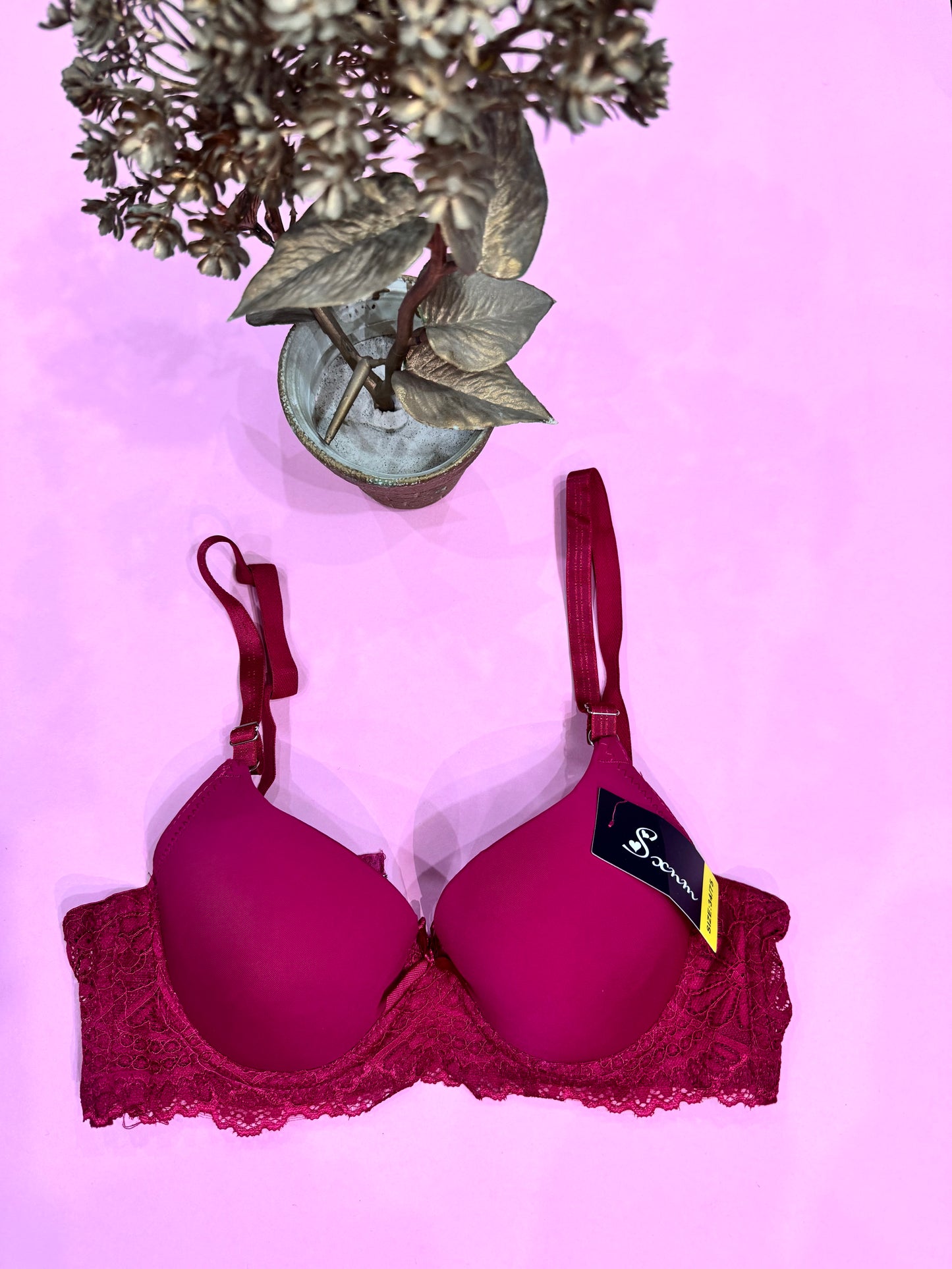 Elegant Lace Push-Up Bra