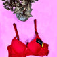 Elegant Lace Push-Up Bra
