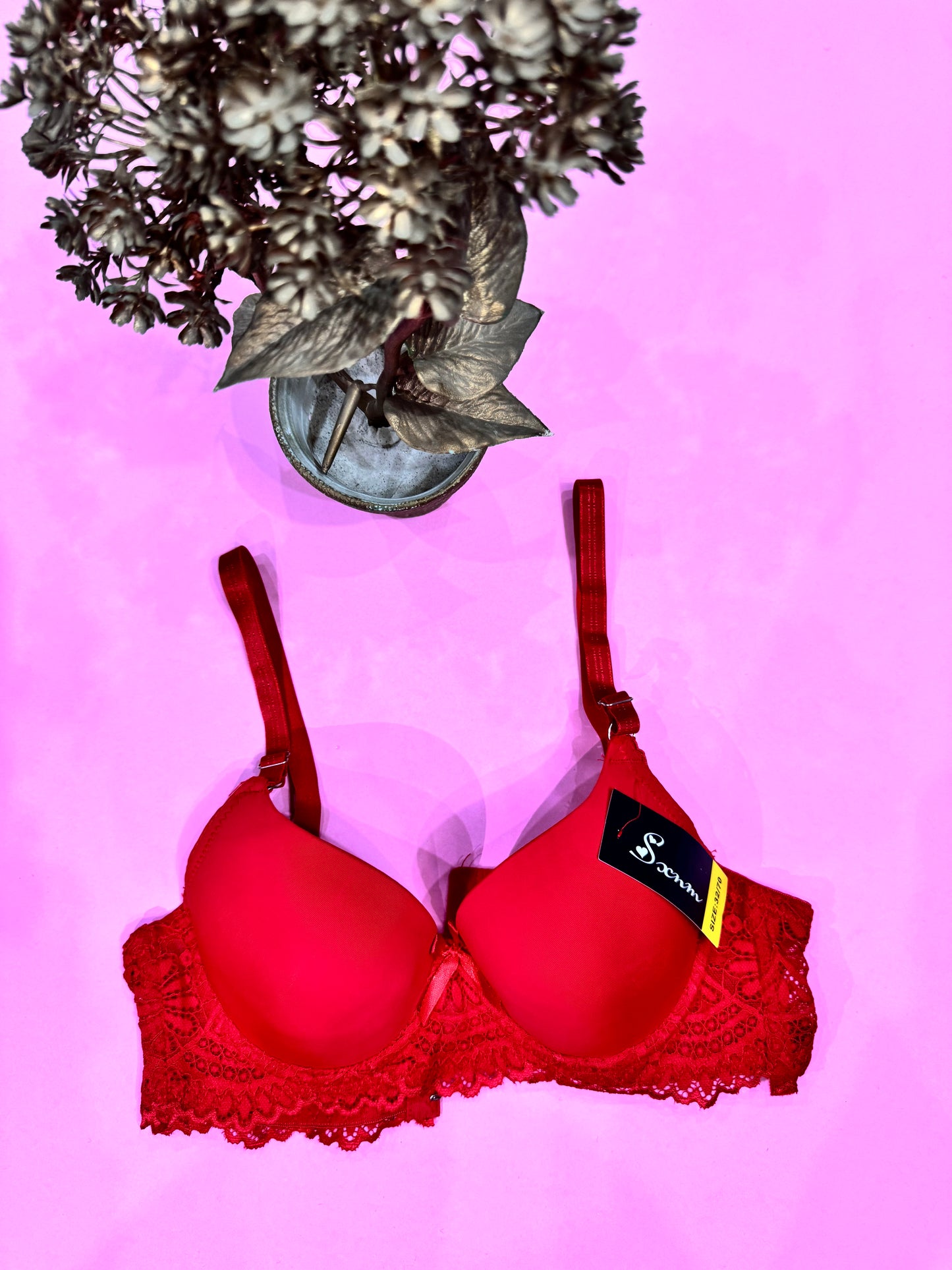 Elegant Lace Push-Up Bra