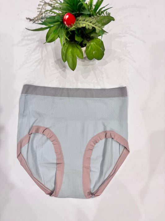 High-Waisted Seamless Comfort Panty